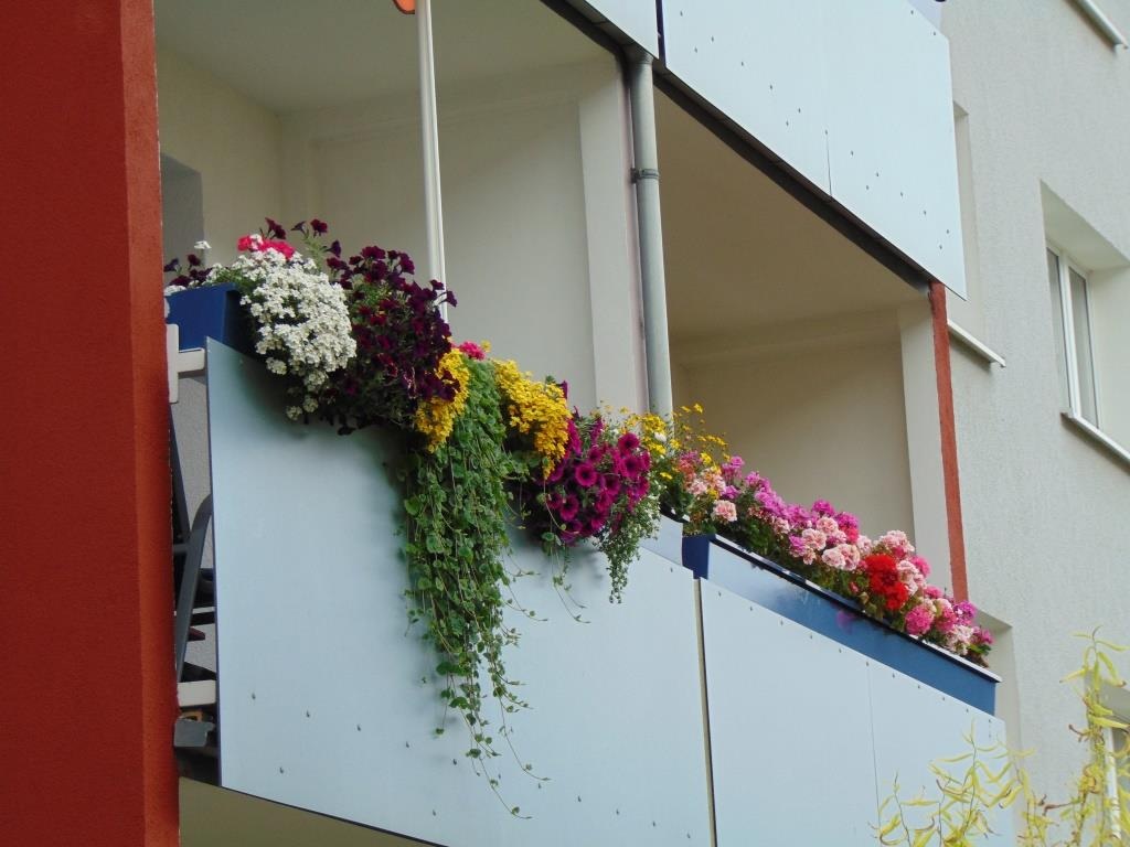 Endlich Frühling! Die perfekte Jahreszeit für eine Balkonbepflanzung
